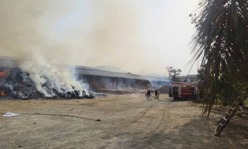 बीजापुर के बाद जगदलपुर में तेंदूपत्ता गोदाम में आग, मौके पर पहुंचीं फायर ब्रिगेड की गाड़ियां