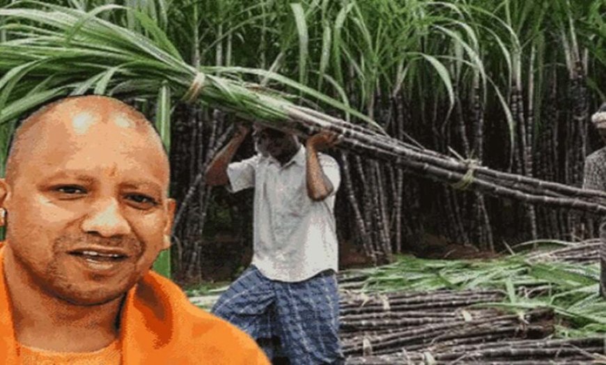 उत्तर प्रदेश ने गन्ना किसानों को किया 3.22 लाख करोड़ रुपये से अधिक का ऐतिहासिक भुगतान