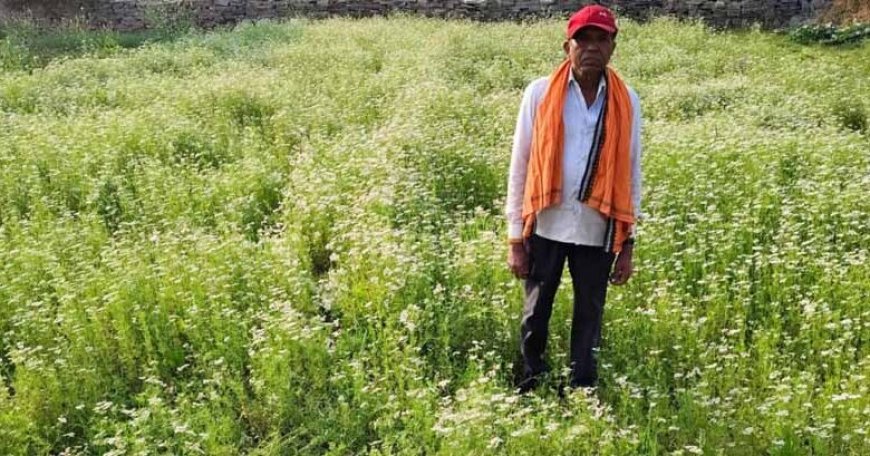 महासमुंद के किसान रतिराम की बदली किस्मत, धनिया की खेती से बढ़ी आमदनी