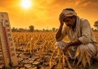 भारत में बढ़ा गर्मी का कहर! 13 साल में हीटवेव के दिन दोगुने, 100 से बढ़कर 200 पहुंचे