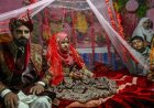 Pakistan Cousin Marriage: कजिन से शादी की परंपरा पर वैज्ञानिकों की चिंता, रिसर्च में सामने आए चौंकाने वाले तथ्य
