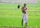 दीनदयाल भूमिहीन कृषि मजदूर कल्याण योजना में पात्र परिवारों को मिलेगी ₹10 हजार की सहायता