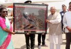 चीता परिवार को देखने के बाद राष्ट्रपति लौटीं दिल्ली, ग्वालियर एयरपोर्ट पर हुआ भव्य विदाई समारोह