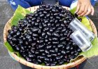 मानसून स्पेशल: कम समय के लिए मिलने वाला जामुन सेहत के लिए क्यों है फायदेमंद