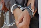 ऑपरेशन कवच 14.0 में दिल्ली पुलिस की बड़ी कार्रवाई, 48 घंटे में 255 गिरफ्तार