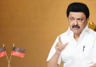 तमिलनाडु की राजनीति में बड़ा दावा, स्टालिन बोले- थलपति विजय की सरकार बनने से पहले ही खत्म हो जाएगी चर्चा