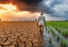 एल-नीनो का मानसून पर बड़ा असर, जून में 42% कम बारिश; 100 साल का तीसरा सबसे सूखा महीना