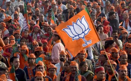मंडी में BJP का दबदबा कायम, जिला परिषद और नगर निगम चुनाव में 36 में से 25 सीटों पर जीत