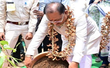 तेंदूपत्ते से समृद्धि, तीखुर से आत्मनिर्भरता : बड़ेकनेरा में वनाधारित आजीविका का सशक्त मॉडल बना प्रेरणा