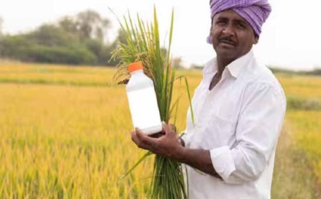 ’नैनो उर्वरकों के उपयोग से बेहतर उत्पादन और मृदा स्वास्थ्य को मिल रहा बढ़ावा-कृषक छेदीलाल’