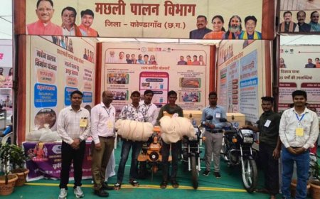 मत्स्य पालकों को मुख्यमंत्री साय की बड़ी सौगात, आधुनिक सामग्री बांटकर आजीविका को किया मजबूत