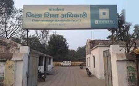 DEO पर गंभीर आरोप, कलेक्टर के नाम से जारी किया आदेश; RTI मामलों में भी लापरवाही उजागर