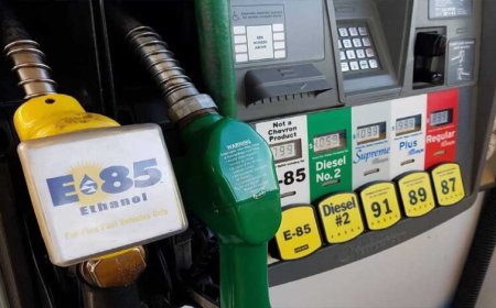 E85 पेट्रोल की होगी एंट्री, रेगुलर फ्यूल से सस्ता विकल्प; पेट्रोलियम मंत्री ने दिए संकेत