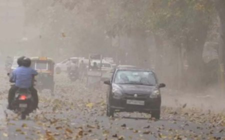 भोपाल में आंधी-बारिश का कहर: 80 पेड़ गिरे, कई जगह ट्रैफिक जाम; MP के 45 जिलों में अलर्ट जारी