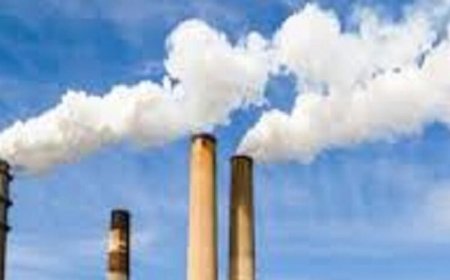पर्यावरणीय मानकों से समझौता नहीं, 94 उद्योगों को नोटिस, 3.03 करोड़ रुपये की क्षतिपूर्ति अधिरोपित