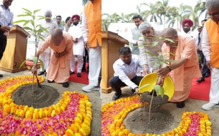 सीएम योगी ने अपने आवास पर लगाया एक पेड़ मां के नाम