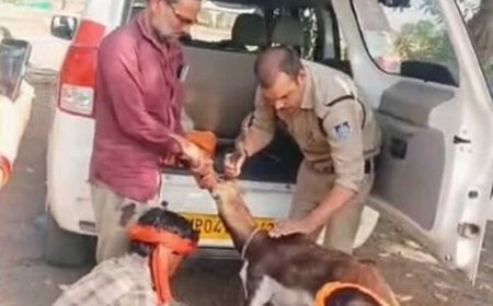 गुना के डायल-112 हीरोज घायल हिरण के शावक को सुरक्षित वन विभाग के सुपुर्द किया