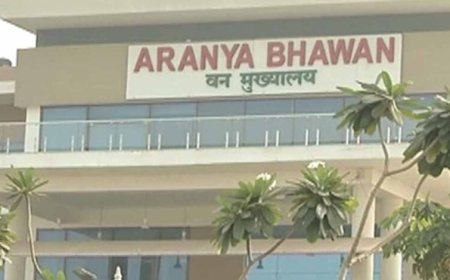 छत्तीसगढ़ वन विभाग में बड़ा फेरबदल, चार वरिष्ठ IFS अधिकारियों को मिली नई जिम्मेदारी