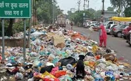 कूड़ा प्रबंधन में बड़ा बदलाव, बरेली में 500 मीट्रिक टन क्षमता वाला प्लांट शुरू होगा