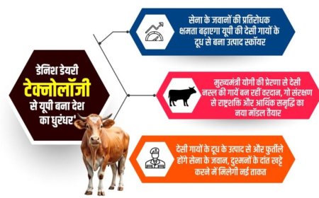डेनिश डेयरी टेक्नोलॉजी से देसी गायों के दूध के उत्पाद बना यूपी बना देश का ‘धुरंधर’