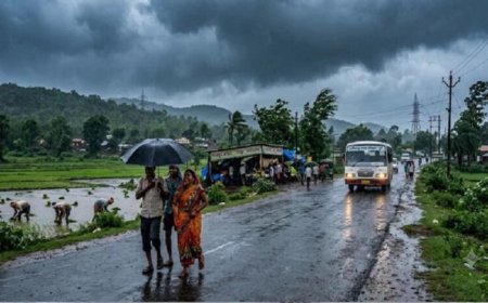 छत्तीसगढ़ में बदला मानसून का मिजाज: 50 साल में बदला ट्रेंड, अब अगस्त-सितंबर में ज्यादा बरसात