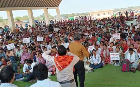 संविदा कर्मियों के तबादले पर छत्तीसगढ़ हाईकोर्ट का बड़ा फैसला, याचिका खारिज