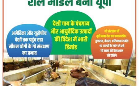 गो सेवा में देश-दुनिया के लिए रोल मॉडल बना यूपी
