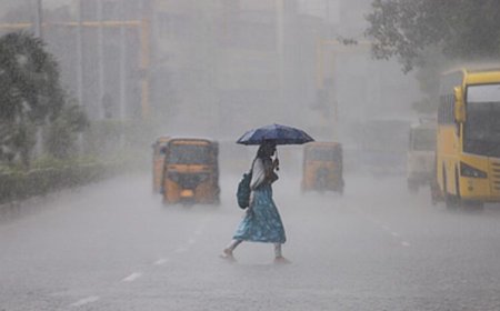 भोपाल-जबलपुर समेत 28 जिलों में बारिश, सीहोर में 61 किमी/घंटा की रफ्तार से चली आंधी; जानें MP में कब पहुंचेगा मानसून