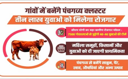 गांवों में बनेंगे पंचगव्य क्लस्टर, तीन लाख युवाओं को मिलेगा रोजगार