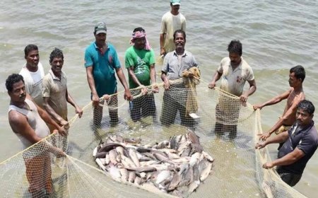 15 अगस्त तक मछली पकड़ने पर प्रतिबंध, प्रजनन काल में संरक्षण पर जोर