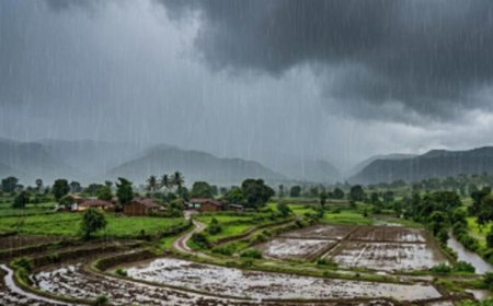 MP की दहलीज पर पहुंचा मानसून, बारिश के साथ 60 किमी/घंटा की रफ्तार से चलेंगी तेज हवाएं