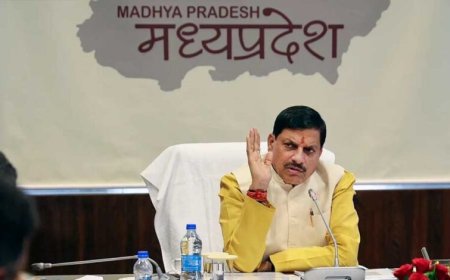 वन पर्यटन का करें विस्तार, पर्यटकों के लिये बढ़ाएं सुविधाएं : मुख्यमंत्री डॉ. यादव आंध्रप्रदेश को देंगे बाघ और गौर, बदले में उनसे लेंगे वाइल्ड डॉग्स