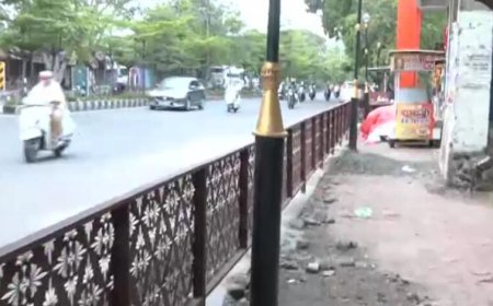 90 डिग्री ब्रिज के बाद भोपाल का नया ‘कमाल’, फुटपाथ बना दिया लेकिन पहुंचने का रास्ता ही नहीं छोड़ा