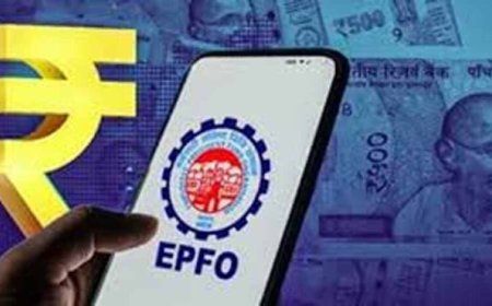 एमपी के हजारों कर्मचारियों को बड़ी राहत, पेंशन और पीएफ के लिए अब 4 महीने पहले करना होगा ऑनलाइन आवेदन
