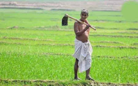 दीनदयाल भूमिहीन कृषि मजदूर कल्याण योजना में पात्र परिवारों को मिलेगी ₹10 हजार की सहायता