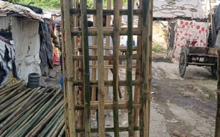 बांस के ट्री गार्ड निर्माण से आत्मनिर्भर बनेंगी सुकमा की 53 दीदियां