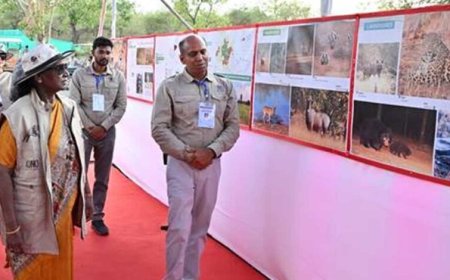 राष्ट्रपति ने किया चीता कमांड कंट्रोल सेंटर का भ्रमण, चीता प्रदर्शिनी भी देखी