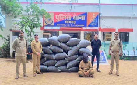विगत 10 दिनों में 2 करोड़ 90 लाख रूपए से अधिक मूल्य के मादक पदार्थ एवं अन्य संपत्ति जब्त