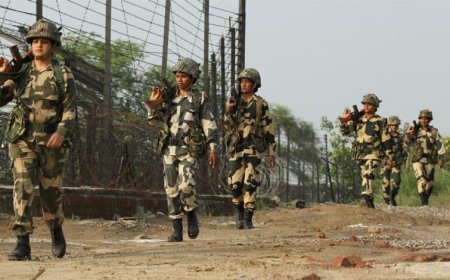 मालदा बॉर्डर पर हाई वोल्टेज ड्रामा! घुसपैठियों को रोकने पहुंची BSF का 7000 लोगों ने घेरा रास्ता