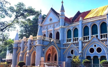 MP शिक्षक भर्ती मामले में बड़ी राहत, हाईकोर्ट ने चॉइस फिलिंग की दी अनुमति; नियुक्ति आदेश पर रोक