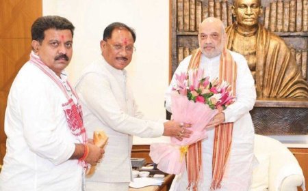 छत्तीसगढ़ में अखिल भारतीय आयुर्वेद संस्थान के स्थापना का प्रस्ताव, अमित शाह से मिले मुख्यमंत्री विष्णुदेव
