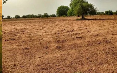 देश के बड़े शहरों में खत्म हो रही जमीन, बढ़ती आबादी के बीच कहां रहेंगे लोग?