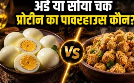 अंडा vs सोया चंक्स: प्रोटीन के मामले में कौन है ज्यादा फायदेमंद, जानिए एक्सपर्ट्स की राय