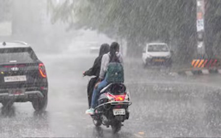 MP Weather: मध्य प्रदेश के 43 जिलों में आज बारिश का अलर्ट, मानसून की रफ्तार धीमी; ग्वालियर-चंबल को करना होगा इंतजार
