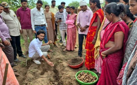 ​धमतरी का ‘नगरी’ बनेगा हल्दी उत्पादन का नया हब: 250 किसानों ने थामा वैज्ञानिक खेती का हाथ, 250 टन पैदावार का लक्ष्य
