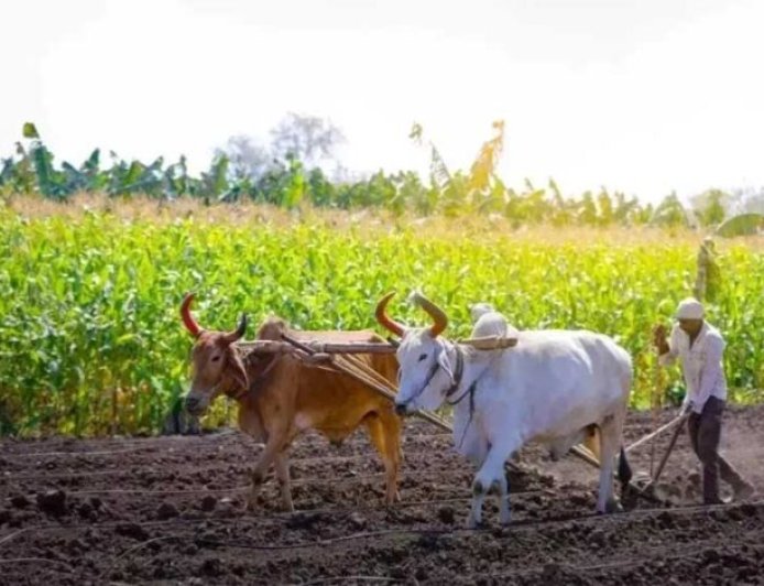 प्रधानमंत्री  मोदी शनिवार को जारी करेंगे किसान सम्मान निधि की 23वीं किश्त