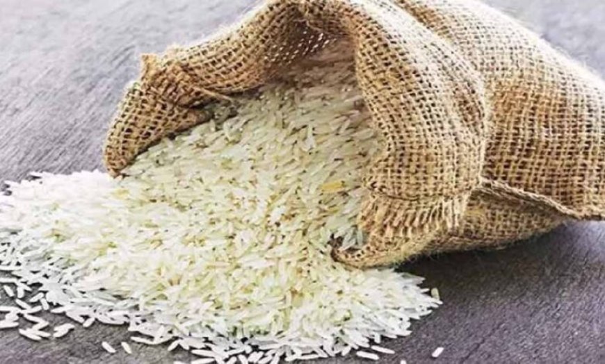कालानमक चावल ने रचा इतिहास, सिंगापुर जाएगी 1000 टन की खेप