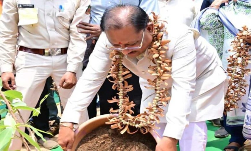 तेंदूपत्ते से समृद्धि, तीखुर से आत्मनिर्भरता : बड़ेकनेरा में वनाधारित आजीविका का सशक्त मॉडल बना प्रेरणा