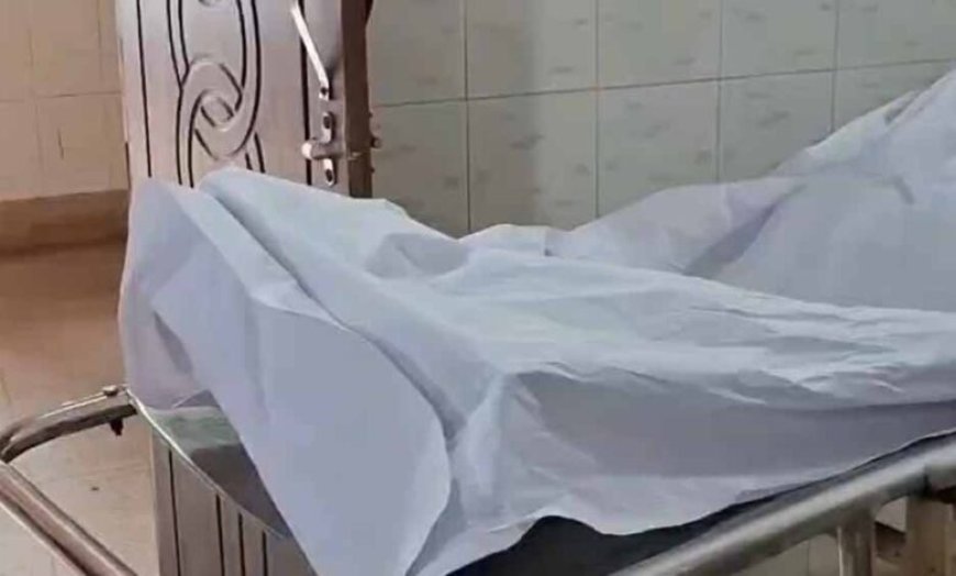 धमतरी में मधुमक्खियों का कहर, हमले में सास की मौत; दामाद की हालत गंभीर
