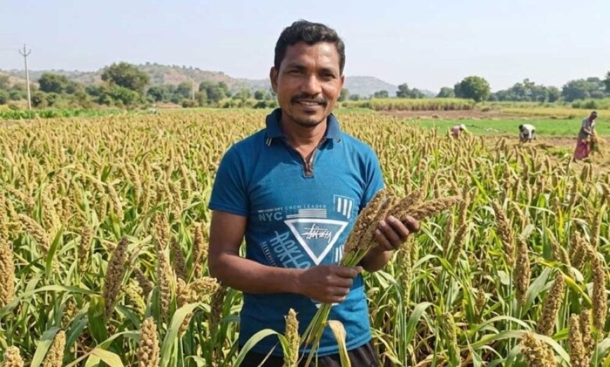 मिलेट से बढ़ी आय, किसानों के जीवन में आई खुशहाली श्री अन्न की खेती बन रही लाभ का नया माध्यम